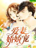 爱妻娇娇宠