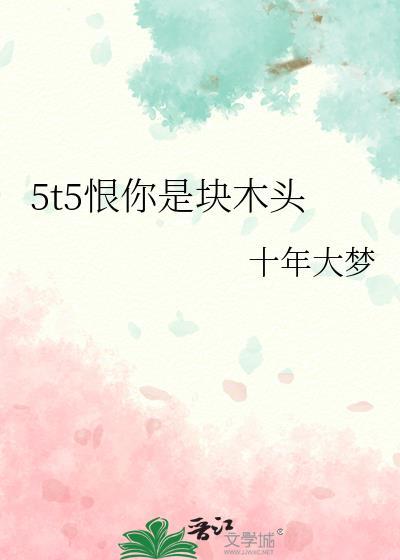 5t5恨你是块木头